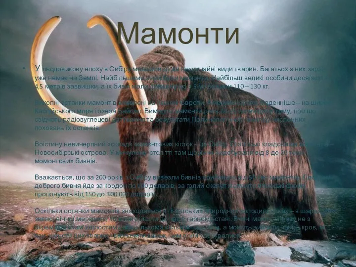 Мамонти У льодовикову епоху в Сибіру мешкали дуже незвичайні види тварин.