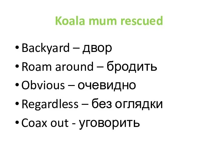 Koala mum rescued
