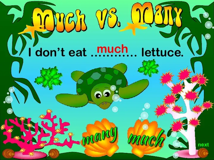 much I don’t eat ………… lettuce. much next many