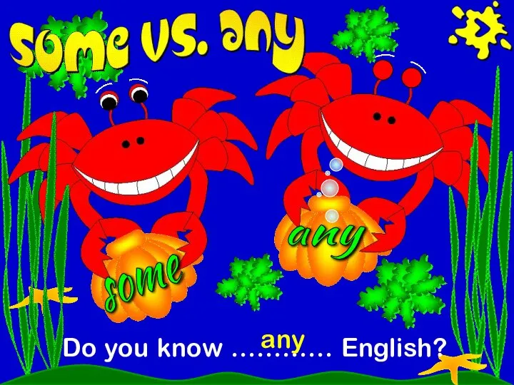 some any Do you know ………… English? any