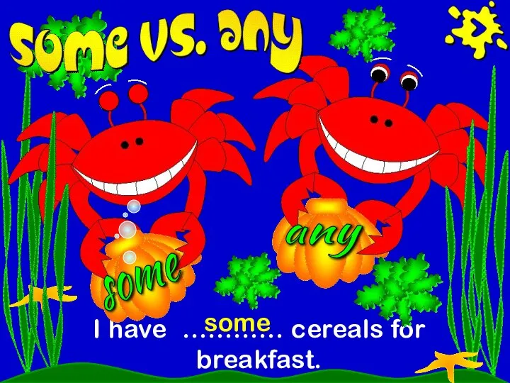 I have ………… cereals for breakfast. some any some