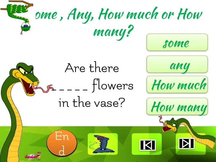 Are there _____ flowers in the vase? some any How much