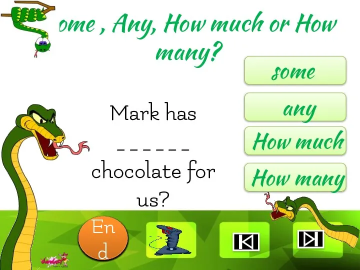 Mark has ______ chocolate for us? some any How much How