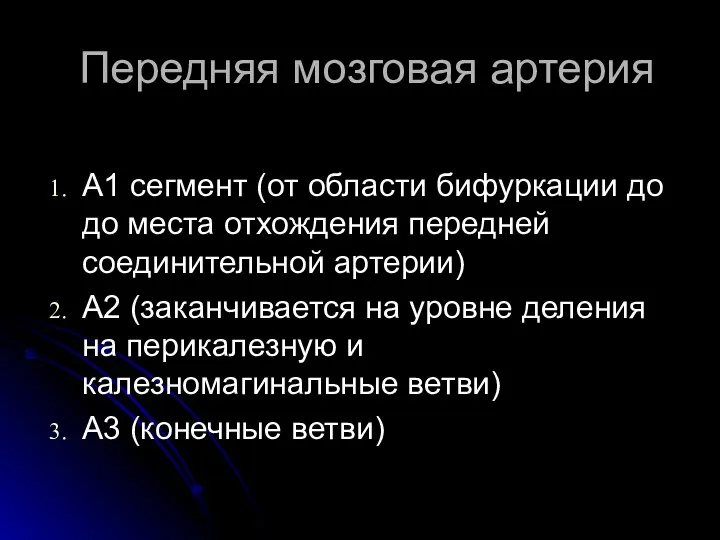 Передняя мозговая артерия А1 сегмент (от области бифуркации до до места