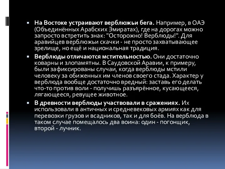 На Востоке устраивают верблюжьи бега. Например, в ОАЭ (Объединённых Арабских Эмиратах),