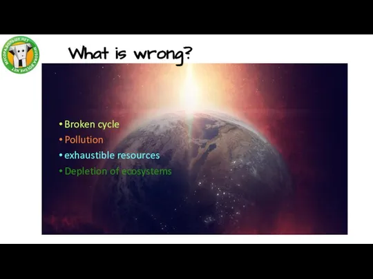 What is wrong? Broken cycle Pollution exhaustible resources Depletion of ecosystems