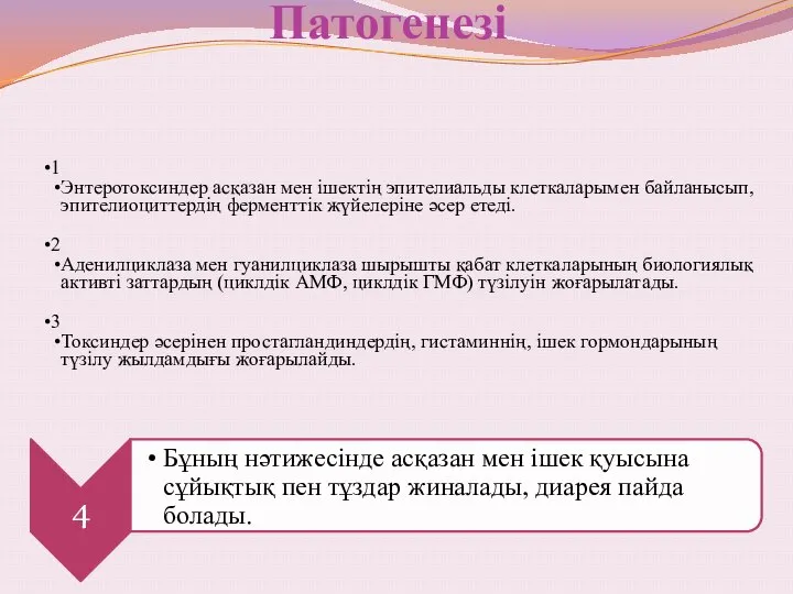 Патогенезі 1 Энтеротоксиндер асқазан мен ішектің эпителиальды клеткаларымен байланысып, эпителиоциттердің ферменттік