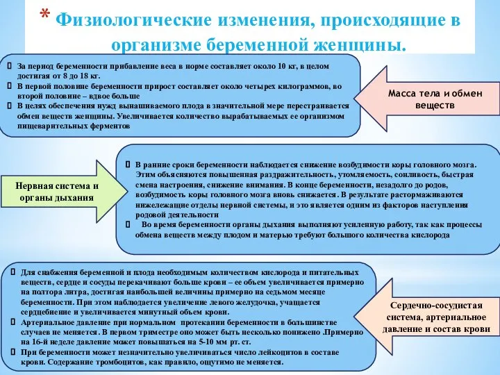 Физиологические изменения, происходящие в организме беременной женщины. За период беременности прибавление