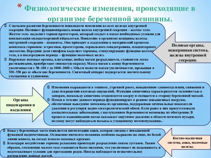 Физиологические изменения, происходящие в организме беременной женщины. С началом развития беременности