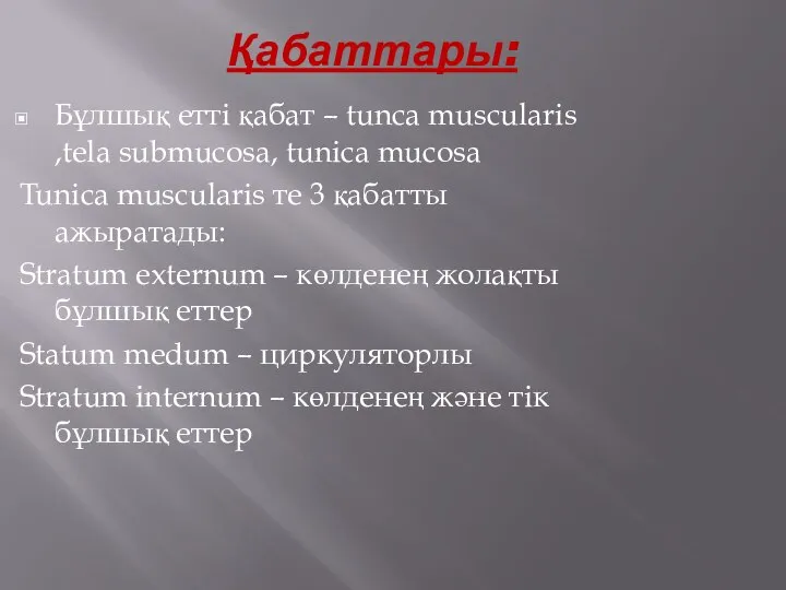 Қабаттары: Бұлшық етті қабат – tunca muscularis ,tela submucosa, tunica mucosa