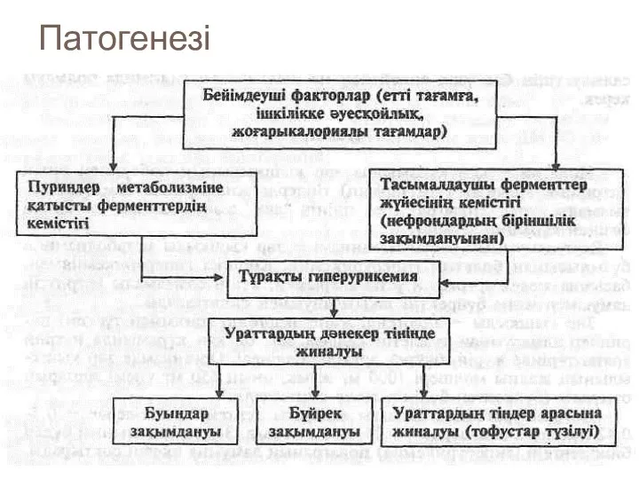 Патогенезі