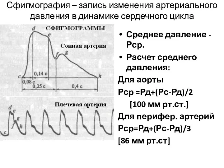 Сфигмография – запись изменения артериального давления в динамике сердечного цикла Среднее