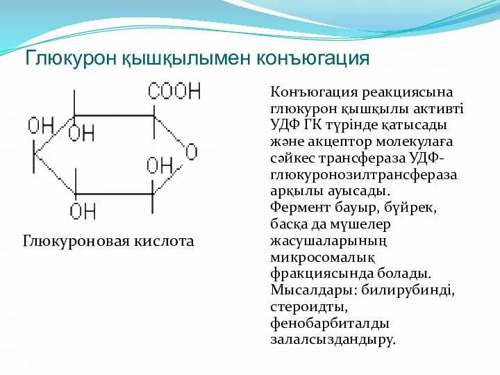 Глюкурон қышқылымен конъюгация Конъюгация реакциясына глюкурон қышқылы активті УДФ ГК түрінде