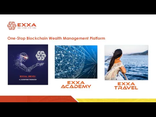 One-Stop Blockchain Wealth Management Platform