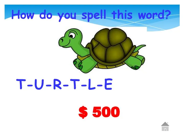 $ 500 How do you spell this word? T-U-R-T-L-E