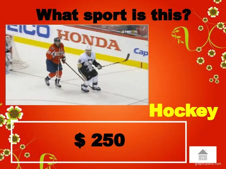 $ 250 What sport is this? Hockey