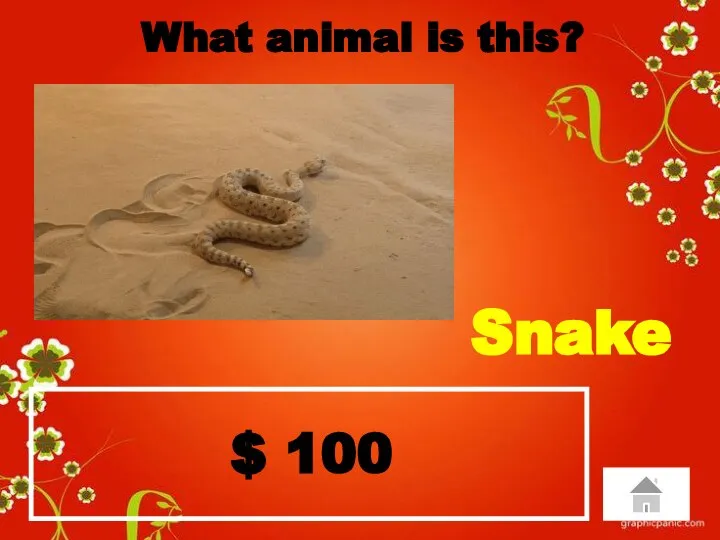 $ 100 What animal is this? Snake