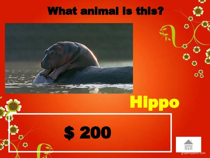 $ 200 What animal is this? Hippo