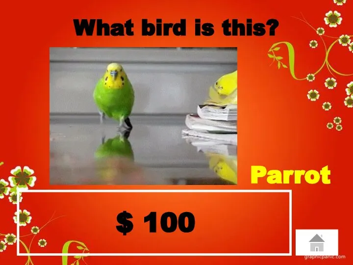 $ 100 What bird is this? Parrot