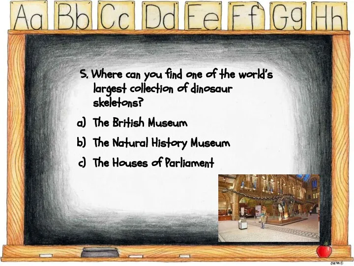 5. Where can you find one of the world’s largest collection