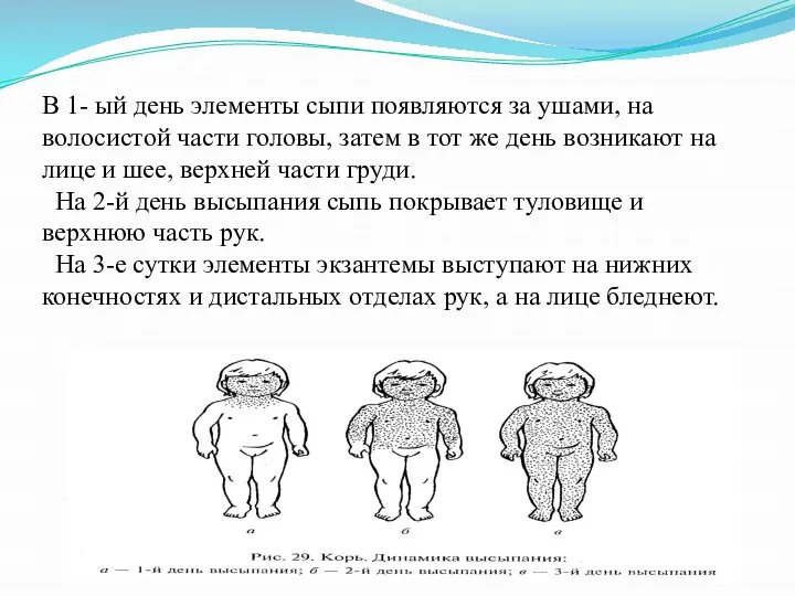 В 1- ый день элементы сыпи появляются за ушами, на волосистой