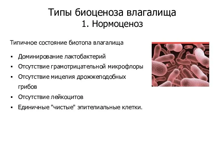 Типичное состояние биотопа влагалища Доминирование лактобактерий Отсутствие грамотрицательной микрофлоры Отсутствие мицелия