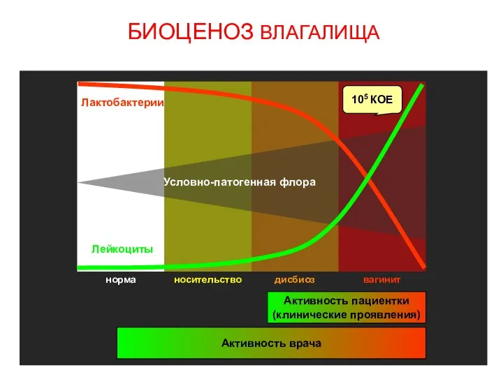 Лактобактерии Лейкоциты Условно-патогенная флора 105 КОЕ Активность пациентки (клинические проявления) Активность врача БИОЦЕНОЗ ВЛАГАЛИЩА