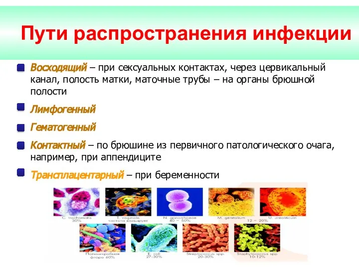 Пути распространения инфекции Восходящий – при сексуальных контактах, через цервикальный канал,