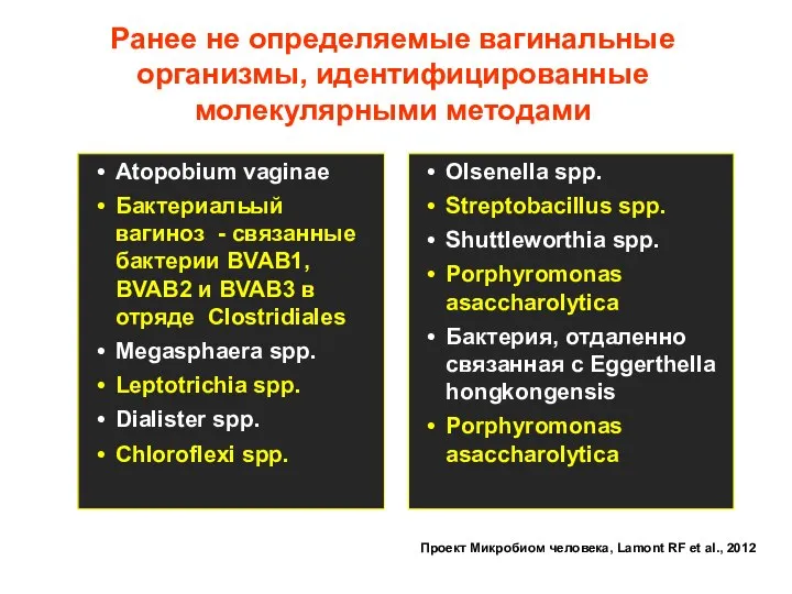 Ранее не определяемые вагинальные организмы, идентифицированные молекулярными методами Atopobium vaginae Бактериальый