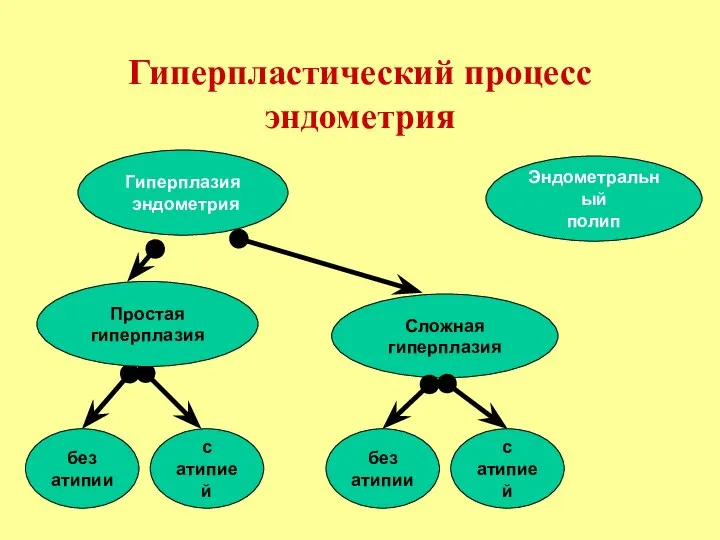 Гиперпластический процесс эндометрия Эндометральный полип Простая гиперплазия Гиперплазия эндометрия Сложная гиперплазия