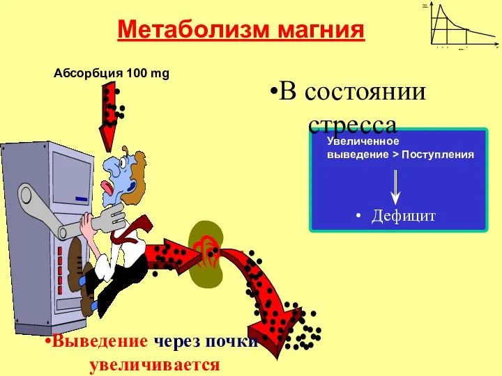 Абсорбция 100 mg Дефицит Метаболизм магния В состоянии стресса Выведение через