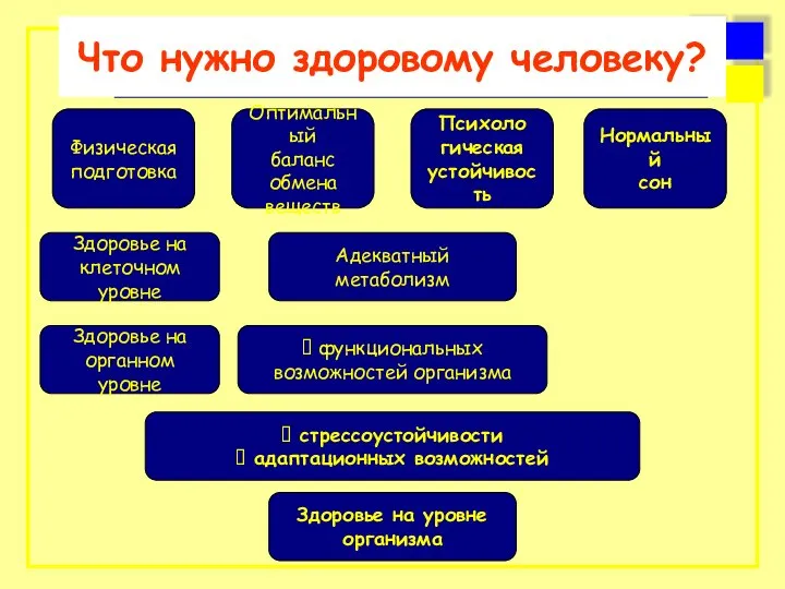 Что нужно здоровому человеку? Физическая подготовка Оптимальный баланс обмена веществ Психоло