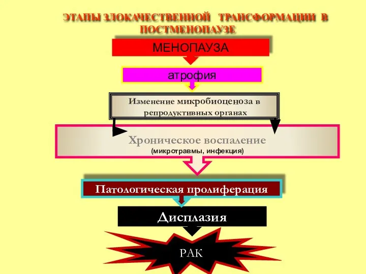 РАК ЭТАПЫ ЗЛОКАЧЕСТВЕННОЙ ТРАНСФОРМАЦИИ В ПОСТМЕНОПАУЗЕ МЕНОПАУЗА атрофия Дисплазия Патологическая пролиферация