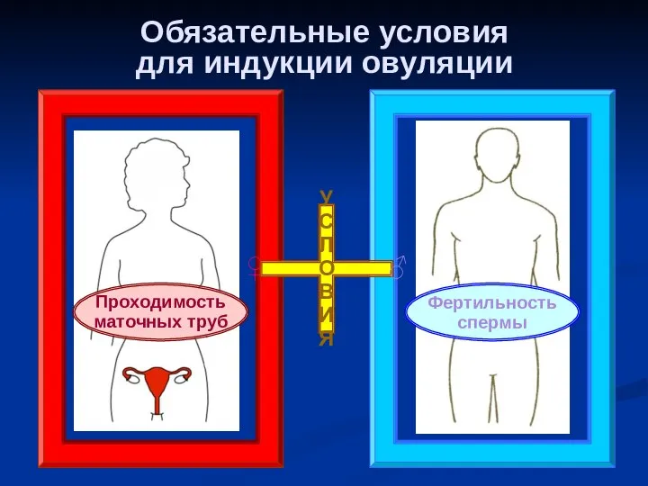 Обязательные условия для индукции овуляции ♀ ♂ У С Л О