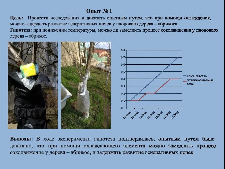 Опыт № 1 Цель: Провести исследования и доказать опытным путем, что