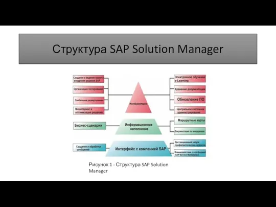 Структура SAP Solution Manager Рисунок 1 - Структура SAP Solution Manager