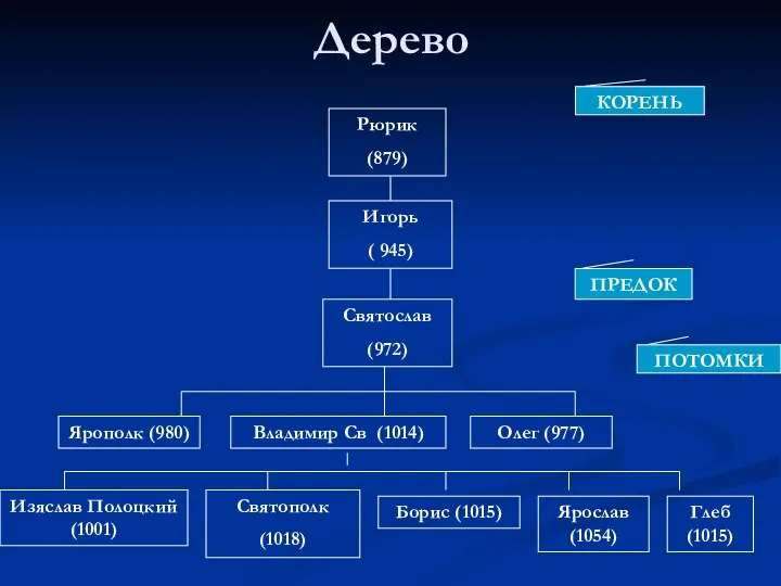 Дерево Рюрик (879) Игорь ( 945) Святослав (972) Ярополк (980) Владимир