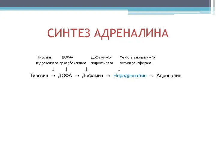 СИНТЕЗ АДРЕНАЛИНА Тирозин ДОФА- Дофамин-β- Фенилэтаноламин-N- гидроксилаза декарбоксилаза гидроксилаза метилтрансфераза ↓