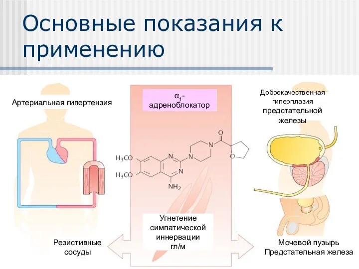 Основные показания к применению Артериальная гипертензия Резистивные сосуды Угнетение симпатической иннервации