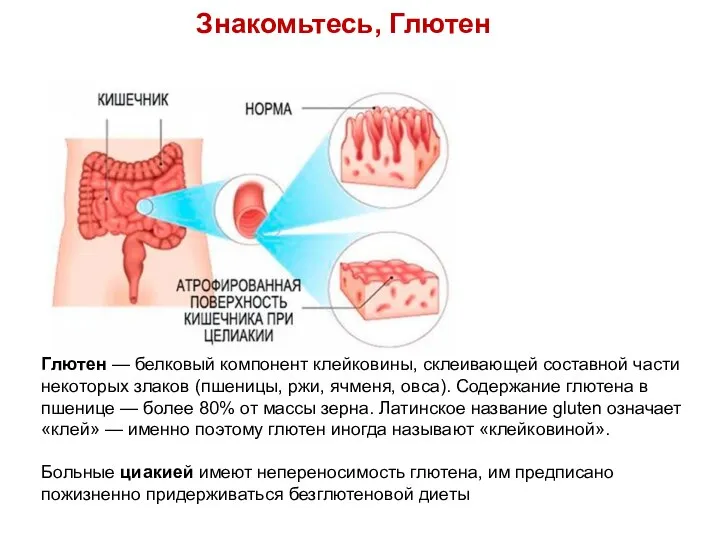 Глютен — белковый компонент клейковины, склеивающей составной части некоторых злаков (пшеницы,