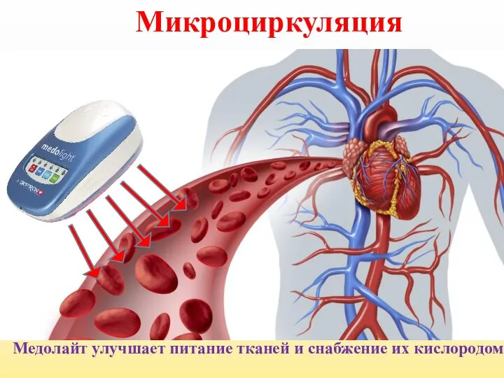 Микроциркуляция Медолайт улучшает питание тканей и снабжение их кислородом