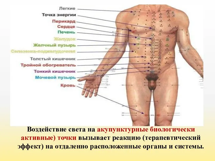 Воздействие света на акупунктурные биологически активные) точки вызывает реакцию (терапевтический эффект)