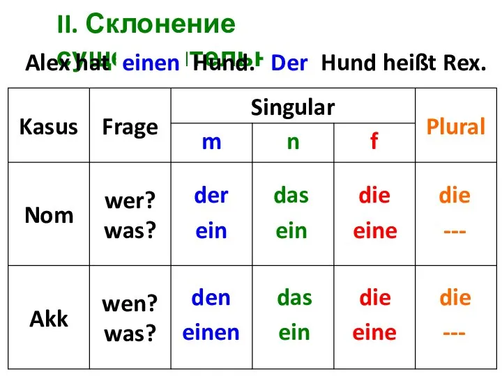 II. Склонение существительных Alex hat ... Hund. ... Hund heißt Rex.