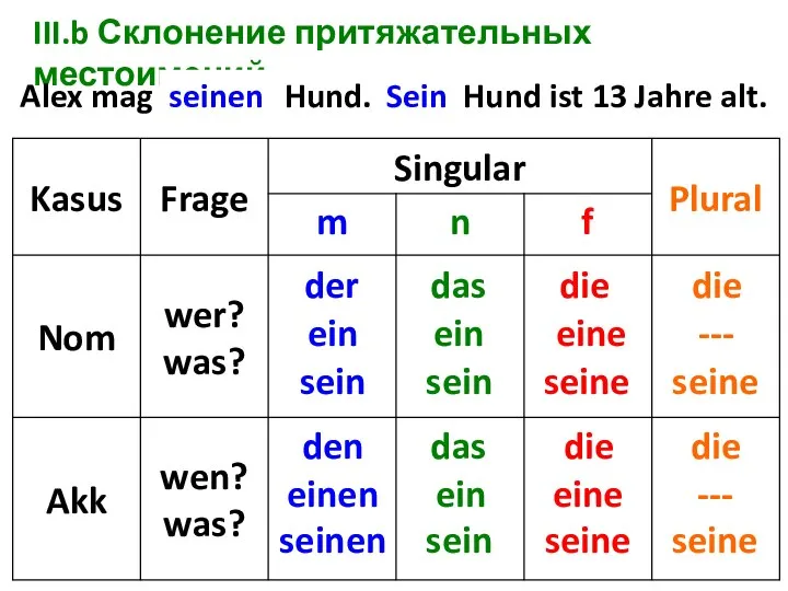 III.b Склонение притяжательных местоимений Alex mag ... Hund. ... Hund ist