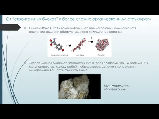 От “строительных блоков” к более сложно организованным структурам Сидней Фокс в