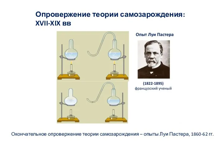 Опровержение теории самозарождения: XVII-XIX вв Окончательное опровержение теории самозарождения – опыты Луи Пастера, 1860-62 гг.