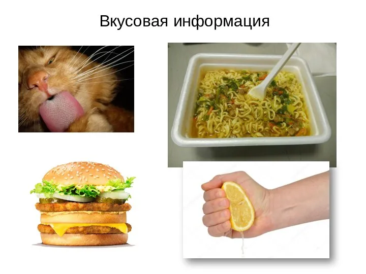 Вкусовая информация