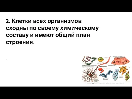 2. Клетки всех организмов сходны по своему химическому составу и имеют общий план строения. .