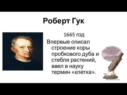 Роберт Гук 1665 год Впервые описал строение коры пробкового дуба и