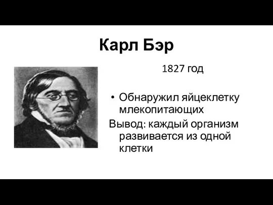 Карл Бэр 1827 год Обнаружил яйцеклетку млекопитающих Вывод: каждый организм развивается из одной клетки